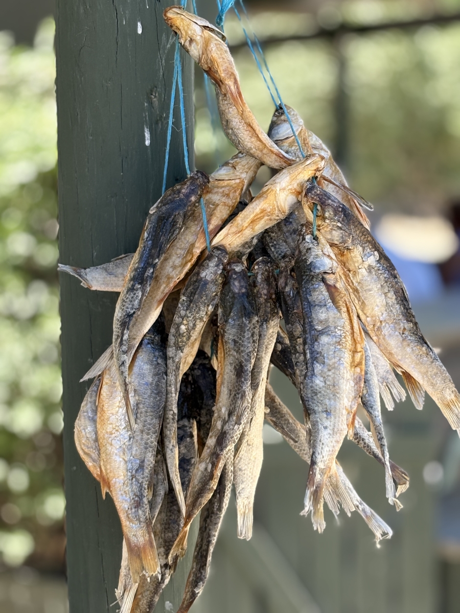 0 Bedroom Property for Sale in Pearl Bay Western Cape